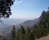 Usambara mountains