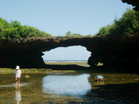 rock formation on Tanga's beach